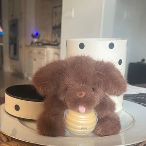 Toffee Gisou Honey Pup